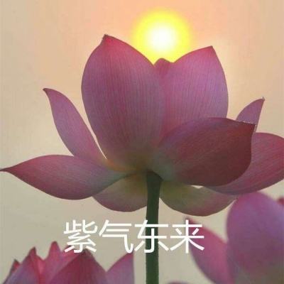 重击你的电脑游戏下载